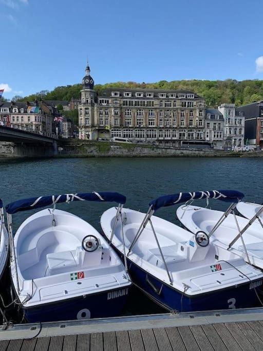 Gite Rural "L'Anseromia" Dinant Exteriör bild