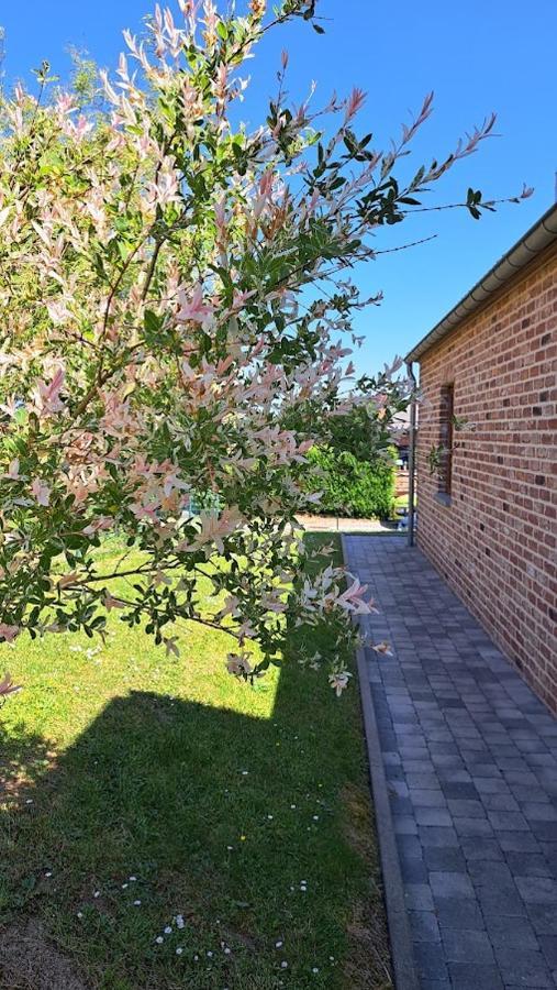 Gite Rural "L'Anseromia" Dinant Exteriör bild